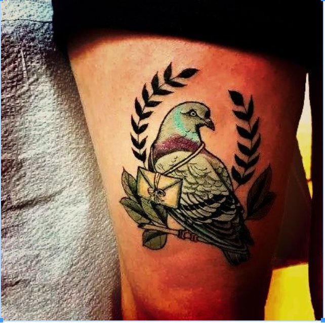 Popular Dove Tattoo